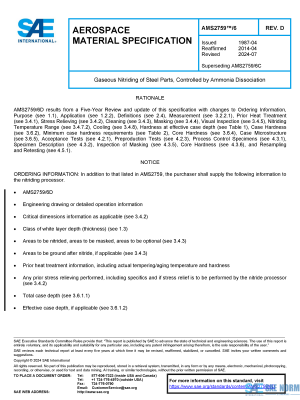 SAE AMS 2759/6 Series PDF