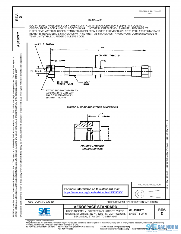 SAE AS 1909 Series PDF