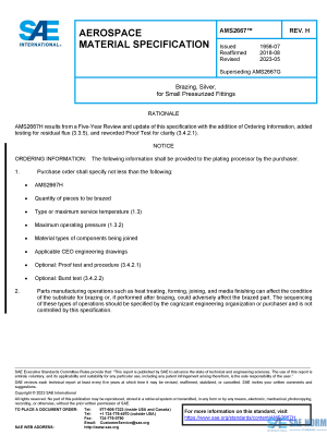 SAE AMS 2667 Series PDF