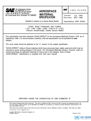 SAE AMS 6256 Series PDF