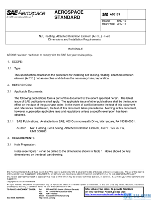 SAE AS 5133 Series PDF