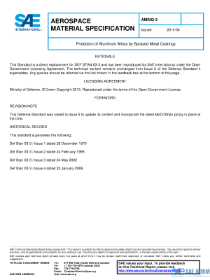 SAE AMS 03_3 Series PDF
