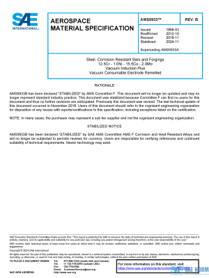 SAE AMS 5933 Series PDF