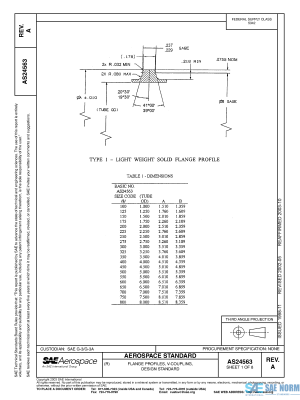 SAE AS 24563 Series PDF