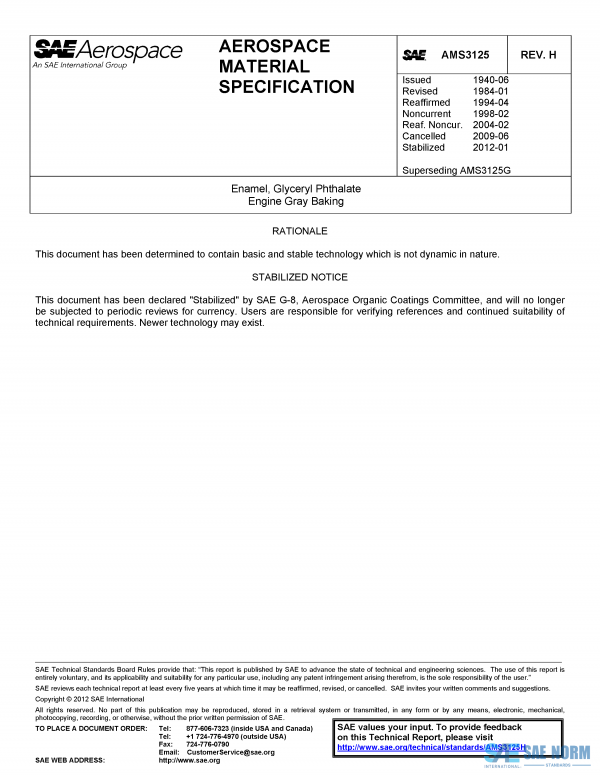 SAE AMS 3125 Series PDF