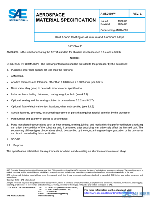 SAE AMS 2469 Series PDF