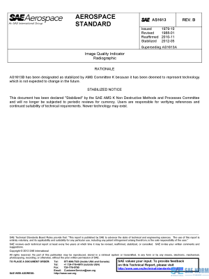 SAE AS 1613 Series PDF