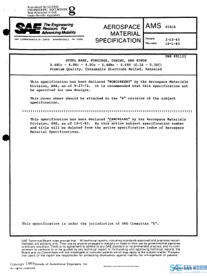 SAE AMS 6541 Series PDF