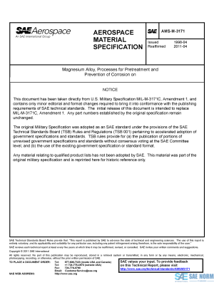 SAE AMSM 3171 Series PDF