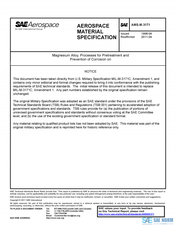 SAE AMSM 3171 Series PDF