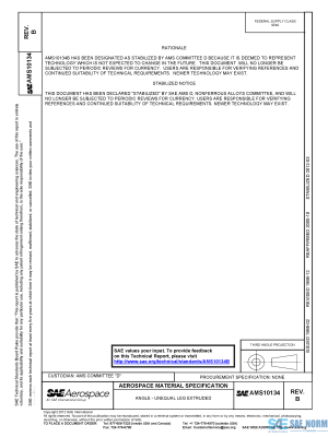 SAE AMS 10134 Series PDF