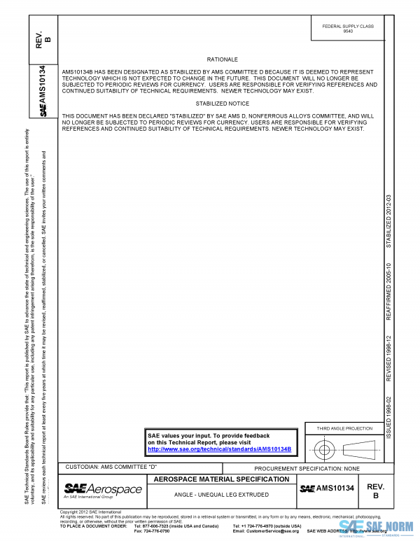 SAE AMS 10134 Series PDF