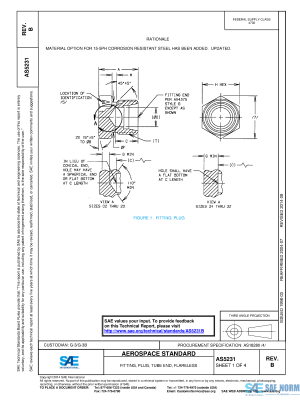 SAE AS 5231 Series PDF