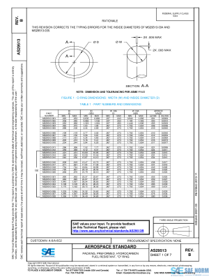 SAE AS 29513 Series PDF