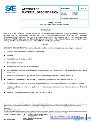 SAE AMS 2401 Series PDF