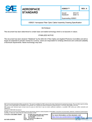 SAE AS 6021 Series PDF