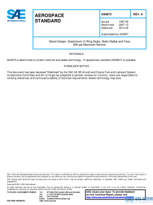 SAE AS 4873 Series PDF