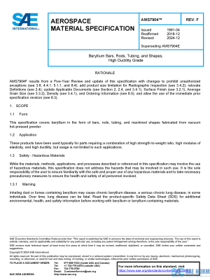 SAE AMS 7904 Series PDF