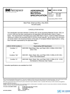 SAE AMSS 18728 Series PDF
