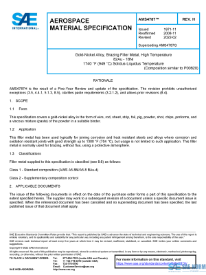 SAE AMS 4787 Series PDF