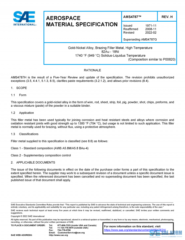 SAE AMS 4787 Series PDF