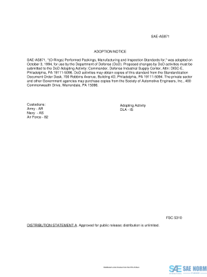 SAE AS 871 Series PDF